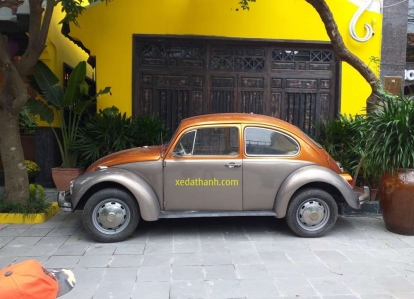 Thuê xe con bọ cổ Volkswagen Beetle 4 chỗ