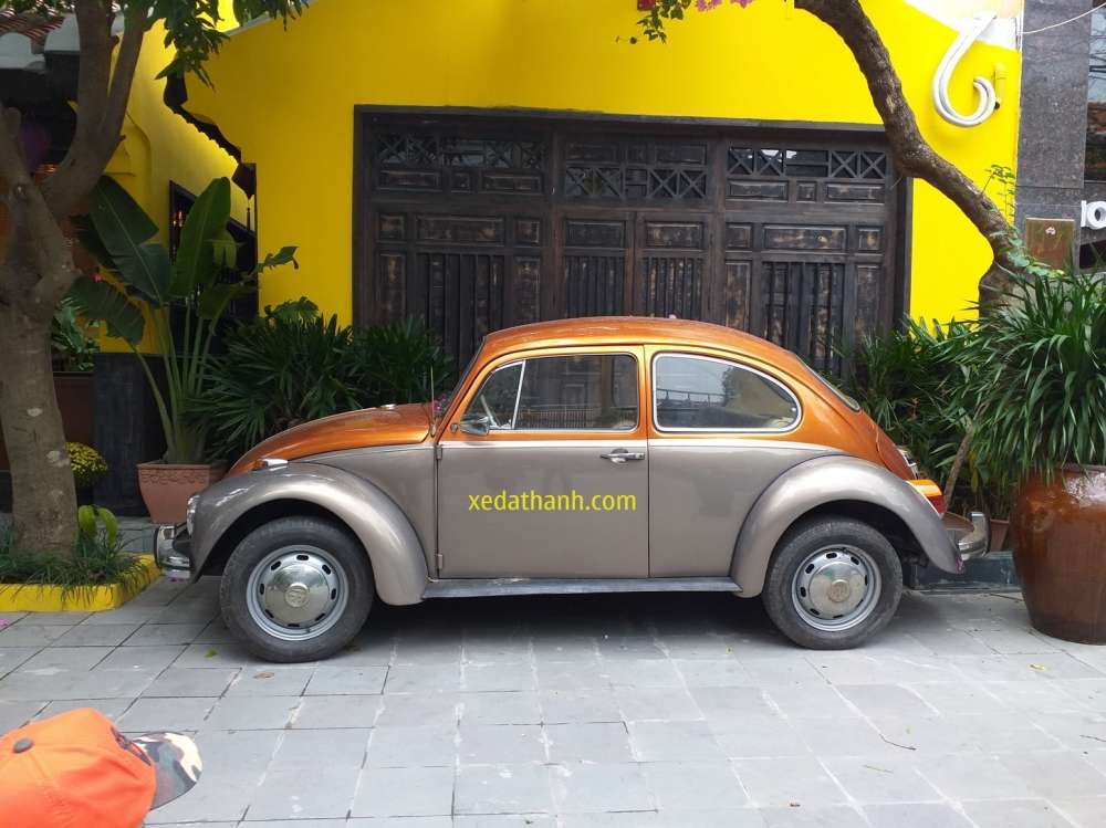 Con bọ mui trần Volkswagen Beetle hàng hiếm tại Việt Nam